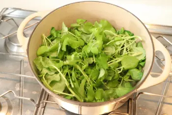 Watercress soup : Stage 5