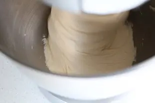 Pizza dough : etape 25