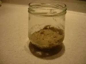 Natural leaven : Photo of step #1