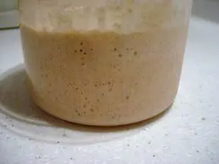 Natural leaven : Photo of step #26