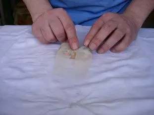 Chicken nems : Photo of step #17