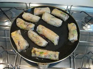 Chicken nems : Photo of step #21