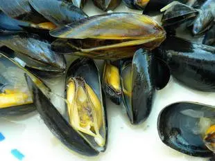 Mussels marinière : Photo of step #26