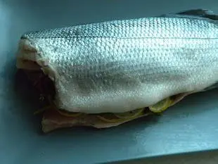 Fish in a salt crust