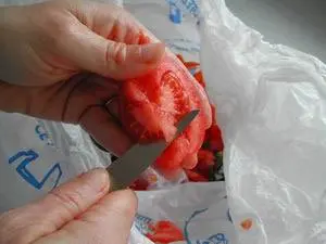 How to prepare tomatoes : Photo of step #11