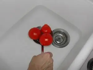 How to prepare tomatoes : Photo of step #6