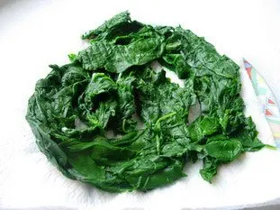 Parcels of fish fillet in spinach