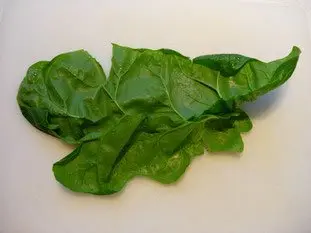 How to prepare spinach : Photo of step #5