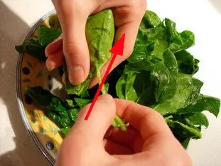 How to prepare spinach : Photo of step #7
