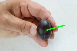 How to freeze plums : Photo of step #2