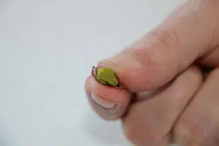 How to peel pistachios : Photo of step #4