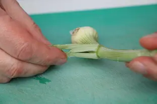 How to prepare a spring onion : Photo of step #4