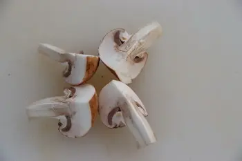 How to prepare fresh mushrooms : Photo of step #10