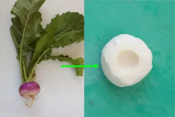How to prepare turnips