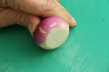 How to prepare turnips