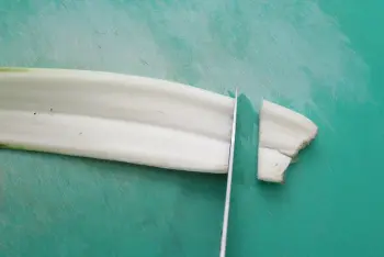 How to prepare chard : Stage 2