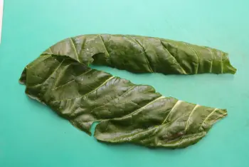 How to prepare chard : Stage 5