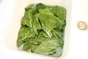 How to prepare chard : Stage 7