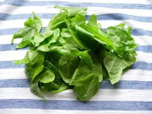 How to prepare sorrel : Photo of step #26