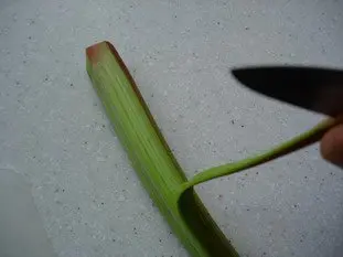 How to prepare rhubarb : Photo of step #3