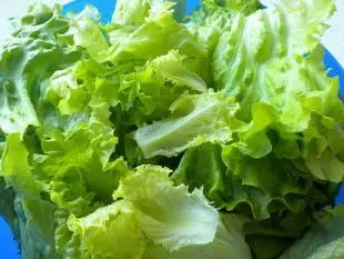 How to prepare a lettuce : Photo of step #26