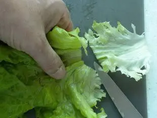 How to prepare a lettuce : Photo of step #4