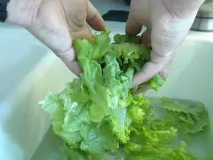 How to prepare a lettuce : Photo of step #7