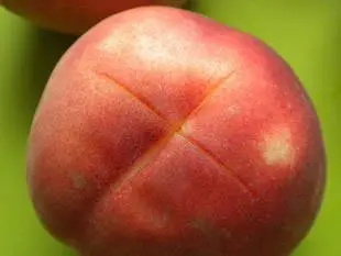 How to poach peaches