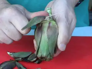 How to prepare purple artichokes : Photo of step #2