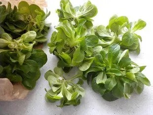How to prepare corn salad : Photo of step #1