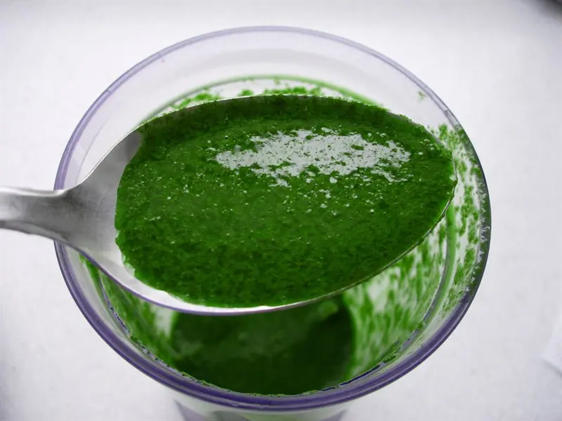 Green parsley sauce