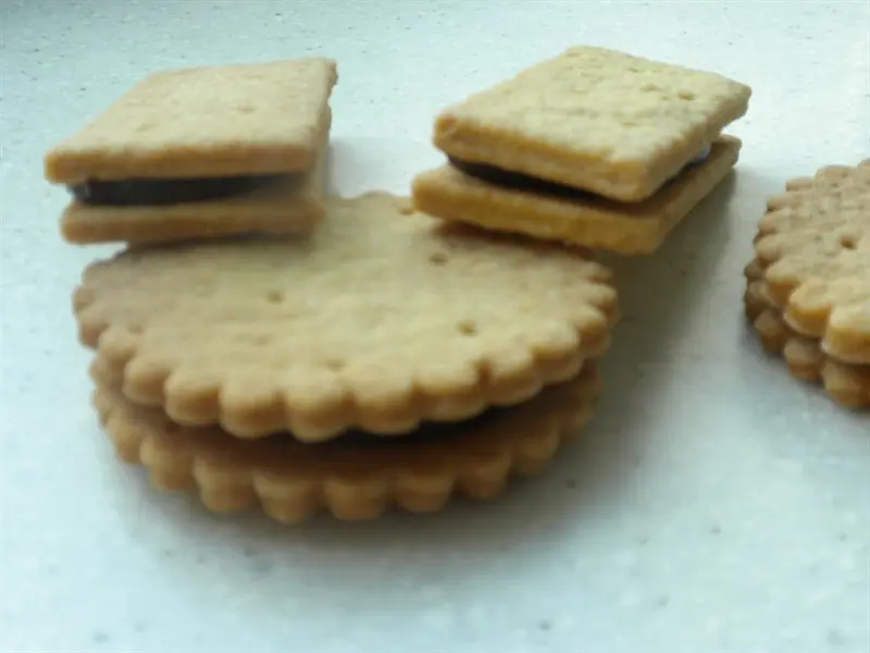 "BN style" chocolate-filled biscuits