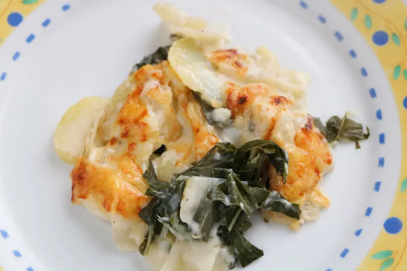 Chard and potato gratin