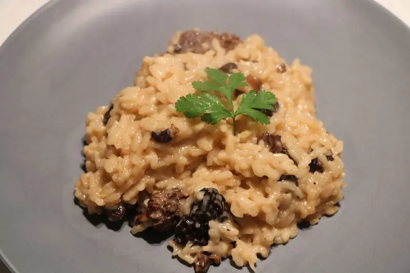 Morel risotto with Vin Jaune and Mont d'Or
