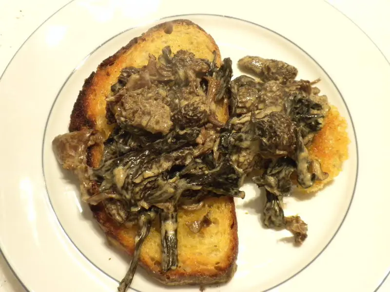 Mushrooms on toast, French style