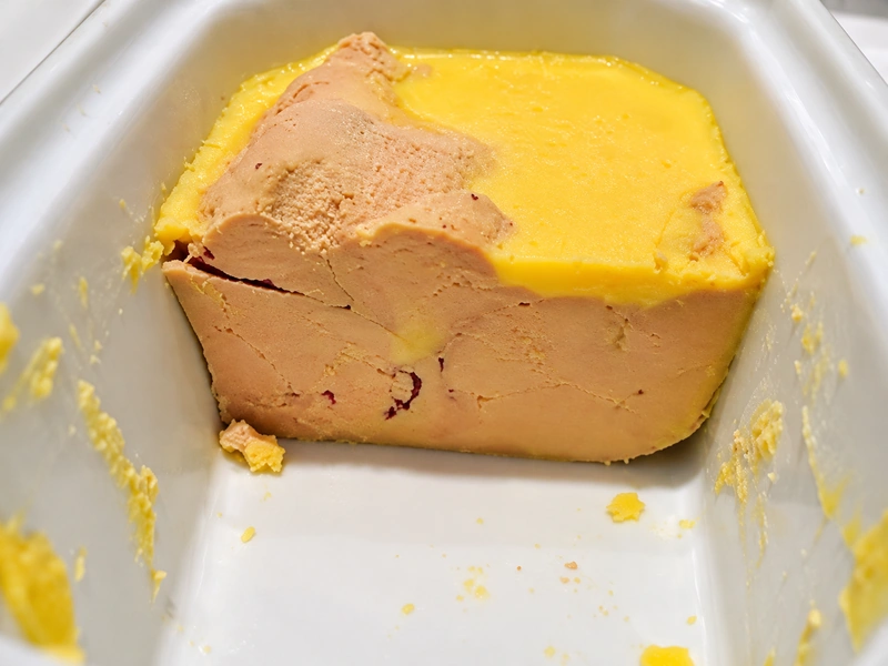 Foie gras cured in salt