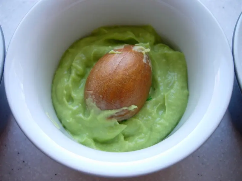 The avocado stone stops the flesh turning brown
