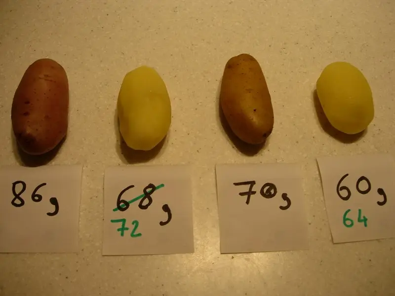 Boiling potatoes in their skins