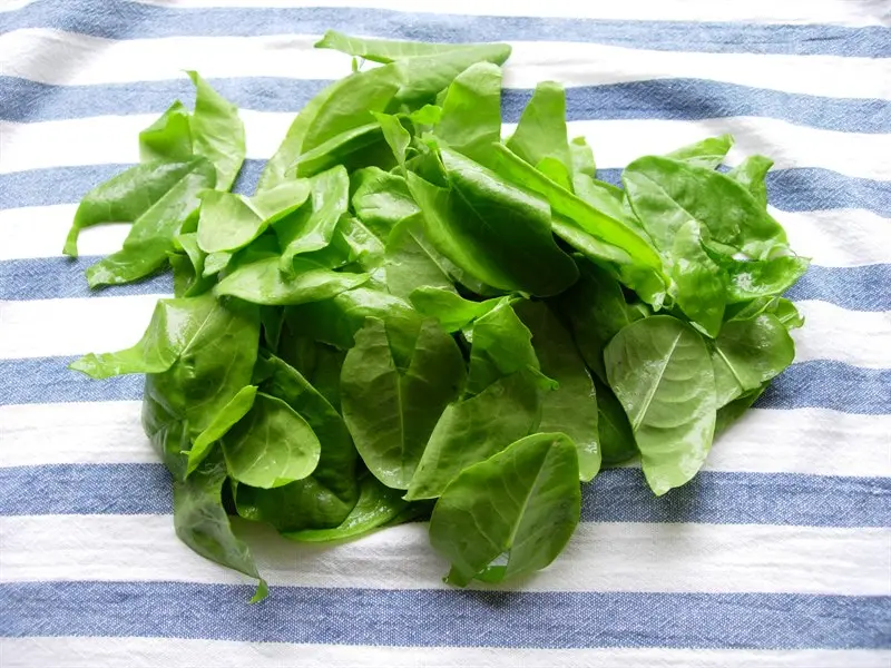 How to prepare sorrel