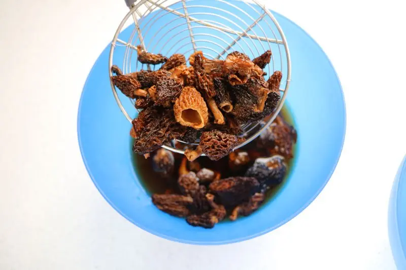 How to rehydrate dried mushrooms