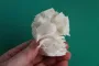 The "pith" of the cauliflower