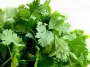 fresh coriander (cilantro) 