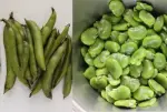 How to prepare broad beans