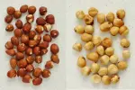 How to peel hazelnuts