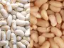 How to prepare white beans
