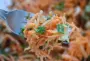 Carrot salad, toasted slivered almonds and diced Comté cheese.