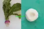 From a fresh turnip with its tops, to a peeled turnip ready to be cut and cooked.