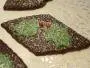 Little Christmas biscuits