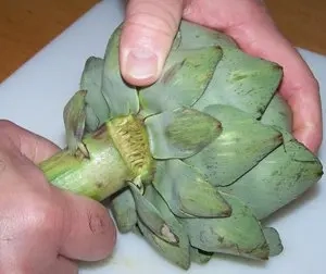 Artichoke stalks
