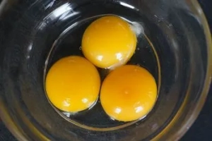 Preserving egg yolks 